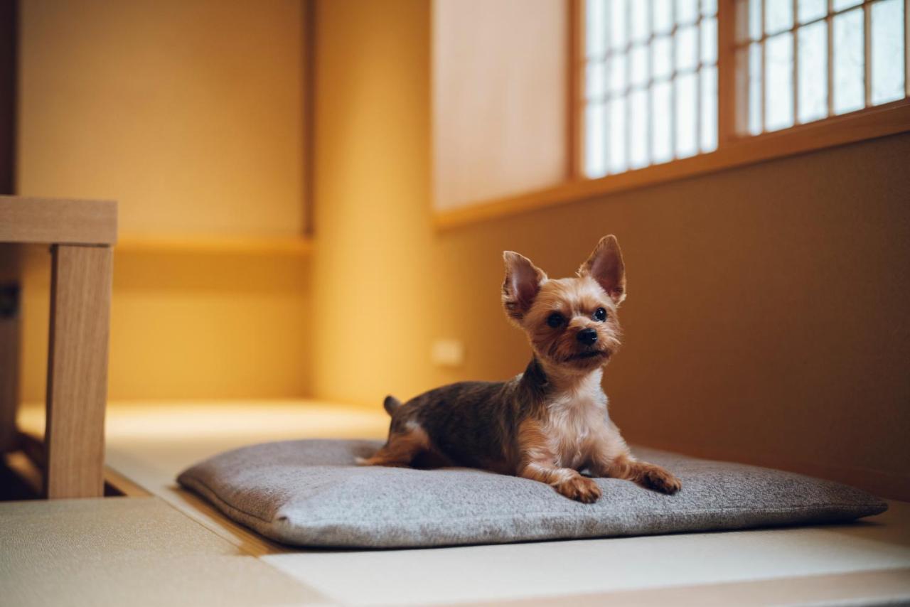 Yuhi House Dog Friendly Holiday home *
